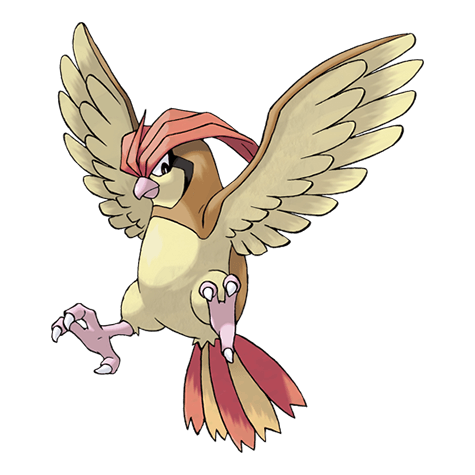 Pidgeotto