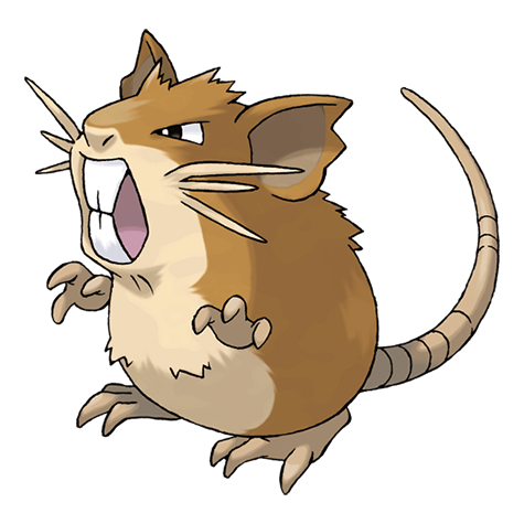 Raticate